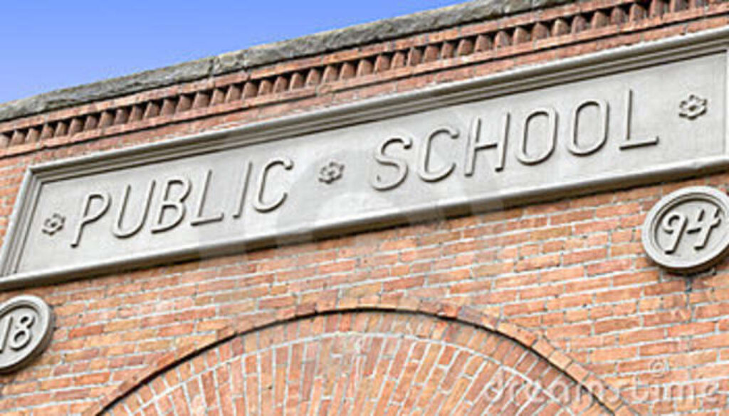 public school